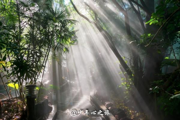 幂级数和函数最后x的范围是收敛域和麦克劳林公式适用范围合并后的范围吗？游戏画面